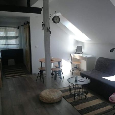 Апартаменты Studio Apartman Hana Дрежник Град Экстерьер фото